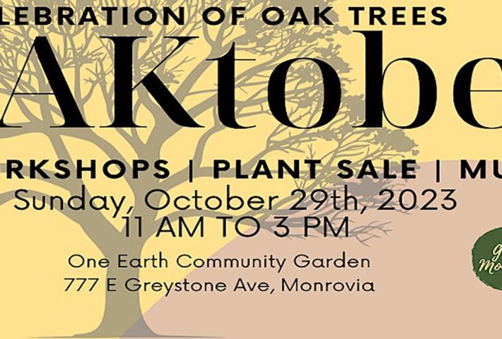 OAKtober- A Celebration of Oak Trees